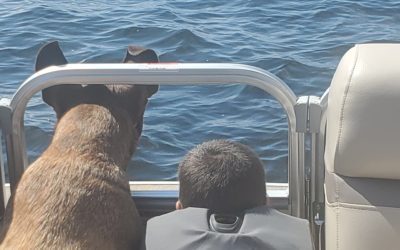 Boat Dogs