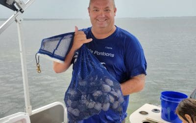 Bay Scallops